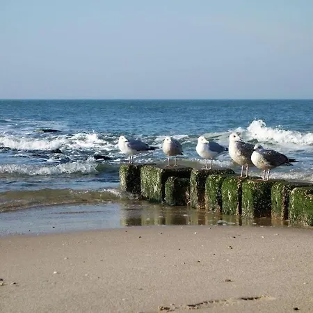 Lust On Sylt * Vesterland