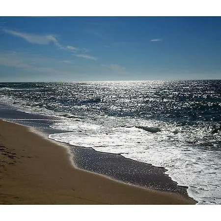 Lust On Sylt Lejlighed